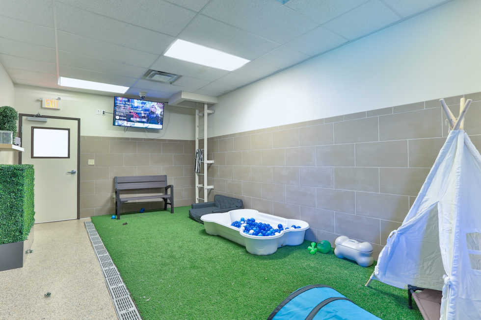 Veterinarian in Las Vegas, NV 89147 Durango Animal Hospital