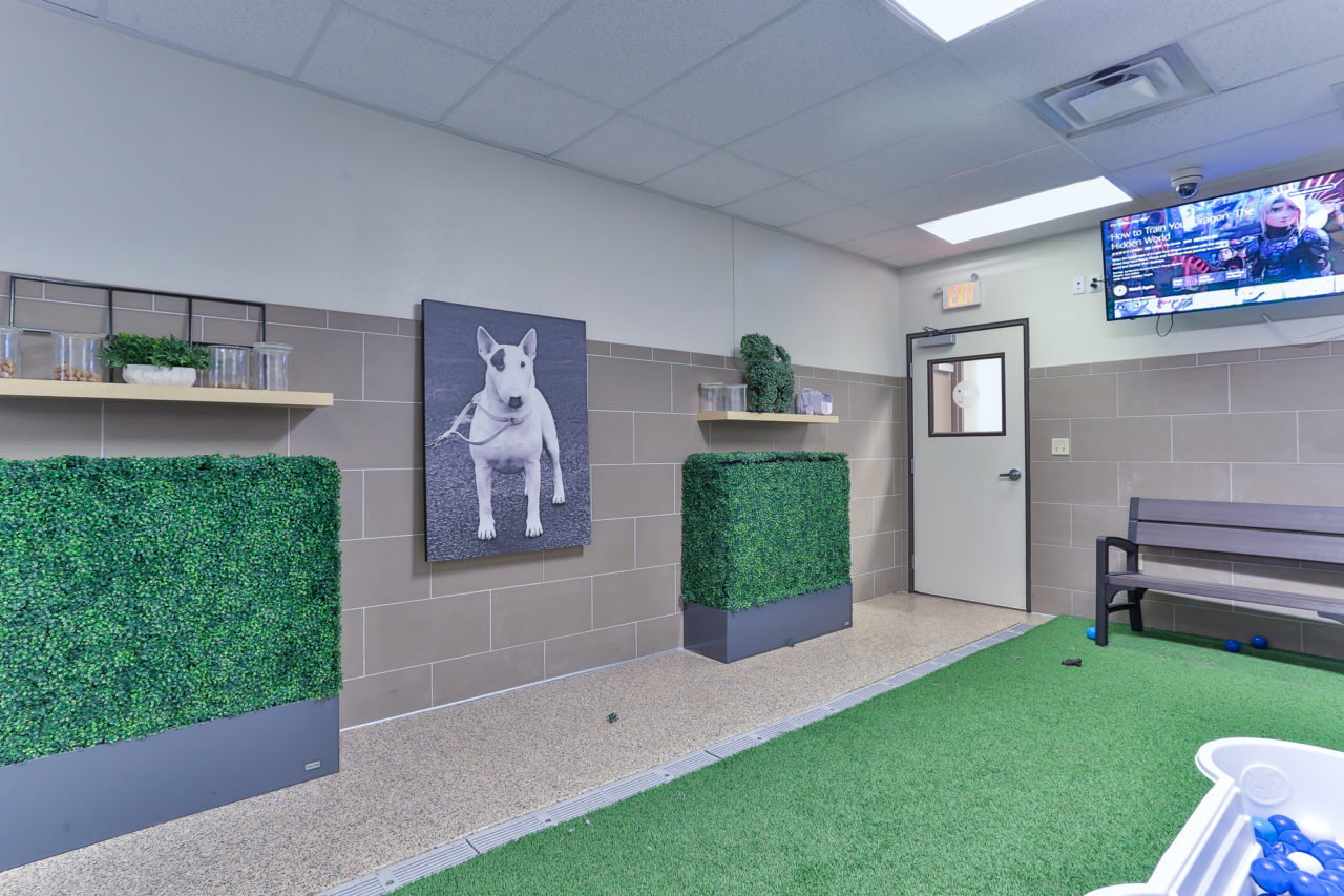 Veterinarian in Las Vegas, NV 89147 Durango Animal Hospital